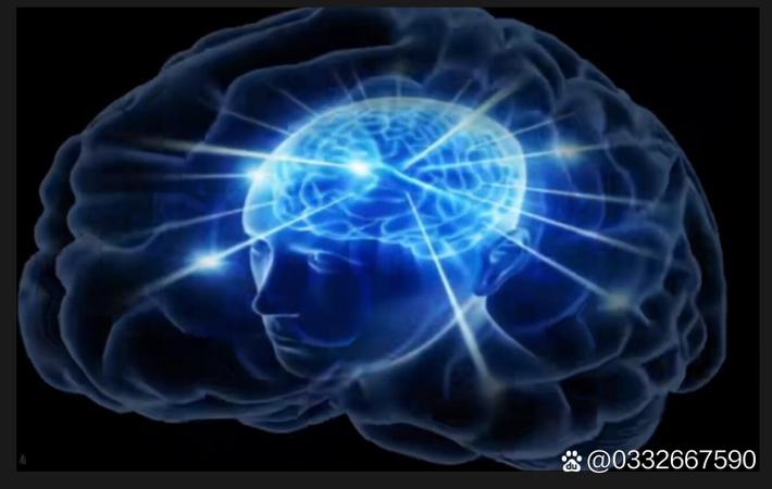 百万粉丝颜值博主被曝偷税漏税：补缴税款超千万
